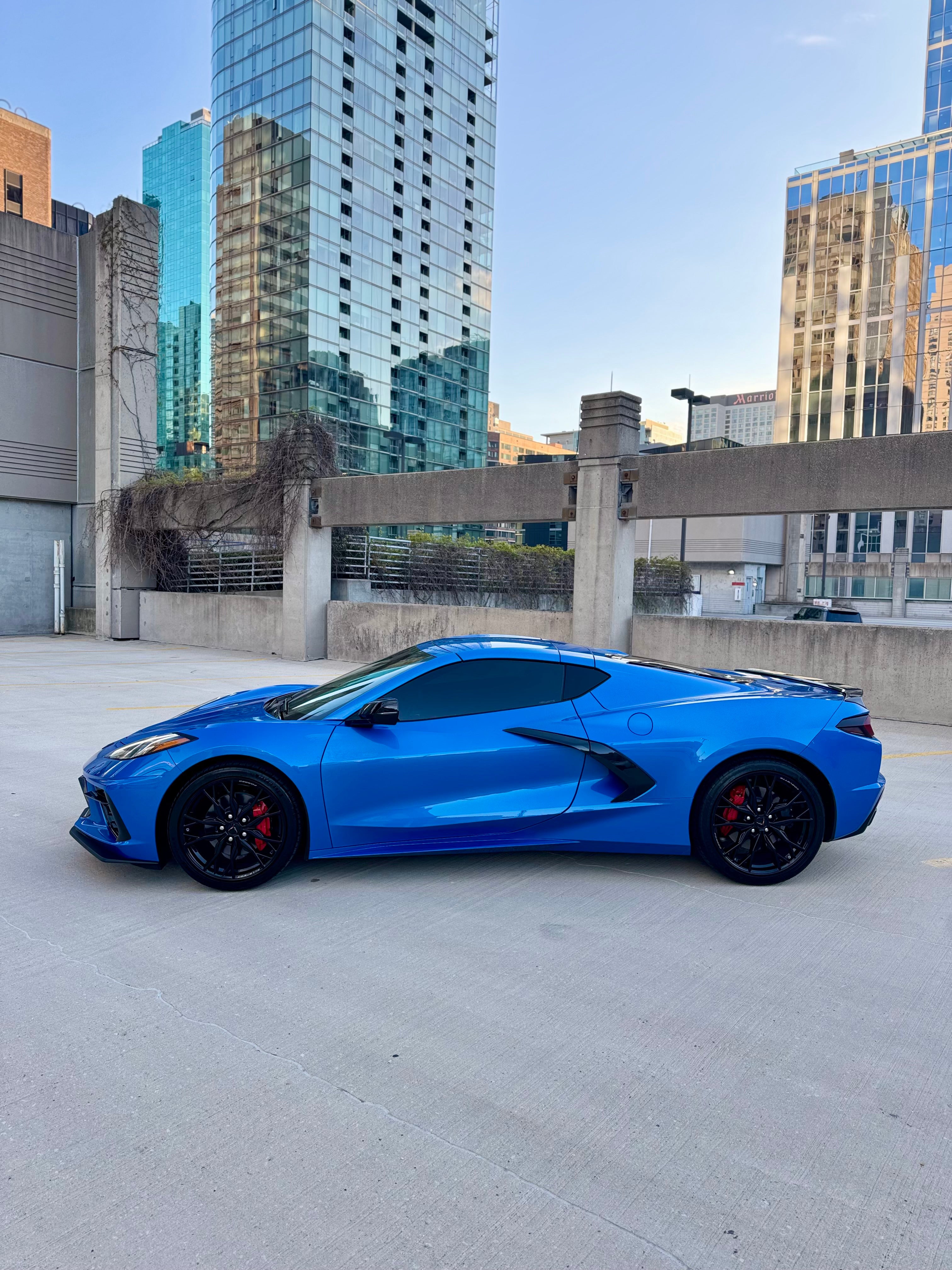C8 Corvette rear view – American performance supercar